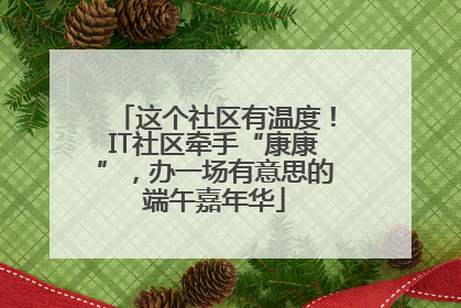 这个社区有温度！IT社区牵手“康康”，办一场有意思的端午嘉年华