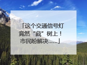 这个交通信号灯竟然“藏”树上！市民盼解决……