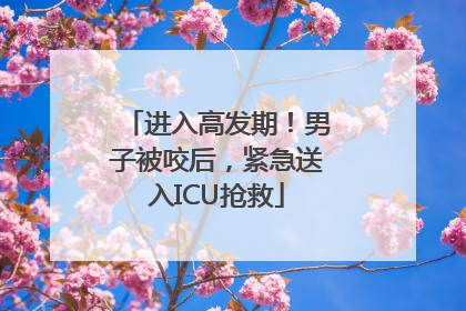进入高发期！男子被咬后，紧急送入ICU抢救