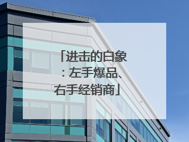 进击的白象：左手爆品、右手经销商