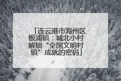 连云港市海州区板浦镇：城北小村解锁“全国文明村镇”成就的密码