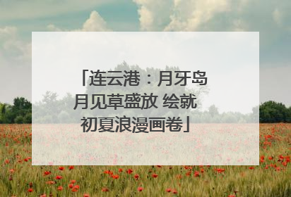 连云港：月牙岛月见草盛放 绘就初夏浪漫画卷