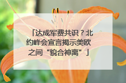 达成军费共识？北约峰会宣言揭示美欧之间“貌合神离”