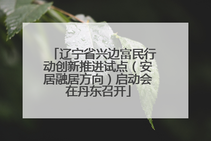 辽宁省兴边富民行动创新推进试点（安居融居方向）启动会在丹东召开