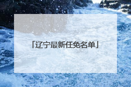 辽宁最新任免名单