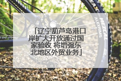 辽宁葫芦岛港口岸扩大开放通过国家验收 将增强东北地区外贸业务