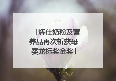 辉仕奶粉及营养品再次斩获母婴龙标奖金奖