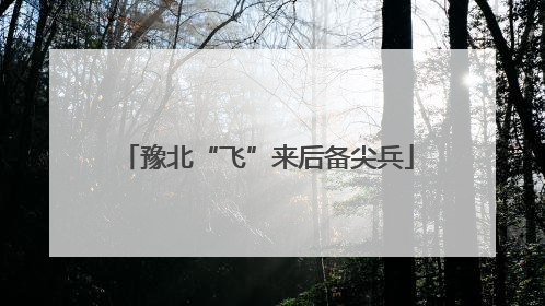 豫北“飞”来后备尖兵