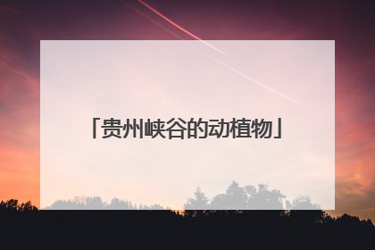 贵州峡谷的动植物
