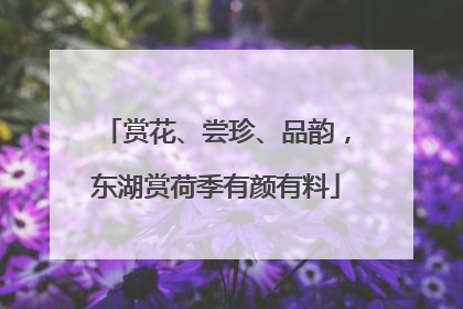 赏花、尝珍、品韵，东湖赏荷季有颜有料