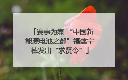 赛事为媒 “中国新能源电池之都”福建宁德发出“求贤令”