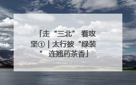 走“三北” 看攻坚①｜太行披“绿装” 连翘药茶香
