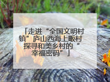 走进“全国文明村镇”庐山西海上畈村 探寻和美乡村的“幸福密码”