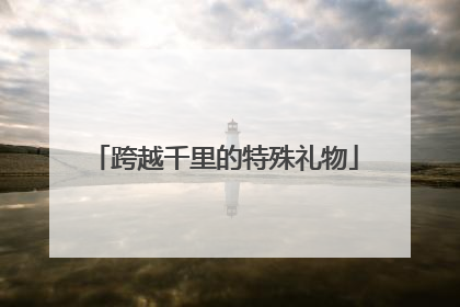 跨越千里的特殊礼物
