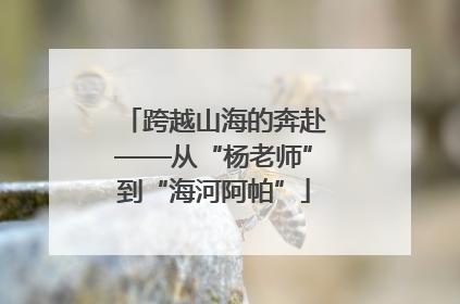 跨越山海的奔赴——从“杨老师”到“海河阿帕”