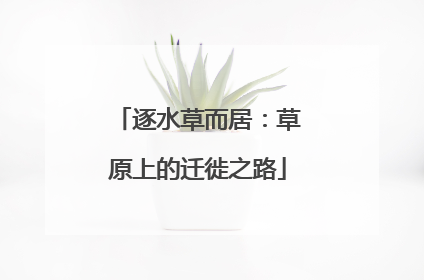 逐水草而居：草原上的迁徙之路