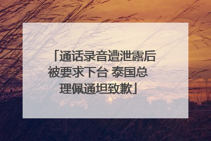 通话录音遭泄露后被要求下台 泰国总理佩通坦致歉