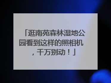 逛南苑森林湿地公园看到这样的照相机，千万别动！