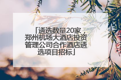 遴选数量20家，郑州机场大酒店投资管理公司合作酒店遴选项目招标