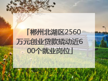 郴州北湖区2560万元创业贷款撬动近600个就业岗位