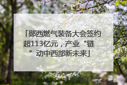 郧西燃气装备大会签约超113亿元，产业“链”动中西部新未来