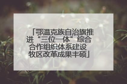 鄂温克族自治旗推进“三位一体”综合合作组织体系建设 牧区改革成果丰硕