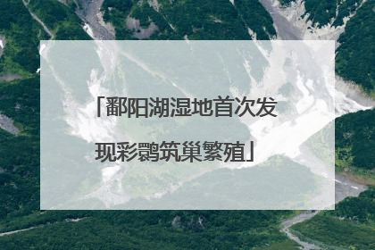鄱阳湖湿地首次发现彩鹮筑巢繁殖