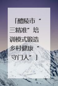 醴陵市“三精准”培训模式锻造乡村健康“守门人”