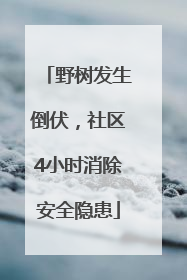 野树发生倒伏，社区4小时消除安全隐患