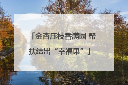 金杏压枝香满园 帮扶结出“幸福果”