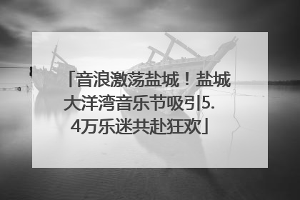 音浪激荡盐城！盐城大洋湾音乐节吸引5.4万乐迷共赴狂欢