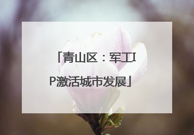 青山区：军工IP激活城市发展