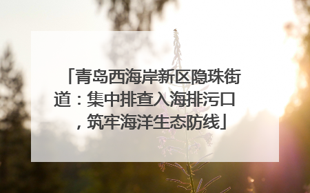 青岛西海岸新区隐珠街道：集中排查入海排污口，筑牢海洋生态防线