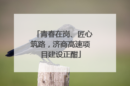青春在岗、匠心筑路，济商高速项目建设正酣