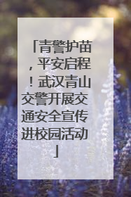青警护苗，平安启程！武汉青山交警开展交通安全宣传进校园活动