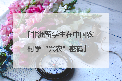 非洲留学生在中国农村学“兴农”密码