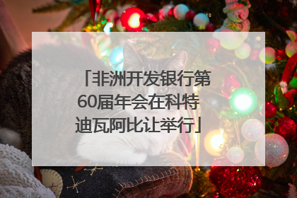 非洲开发银行第60届年会在科特迪瓦阿比让举行