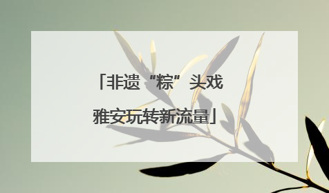 非遗“粽”头戏 雅安玩转新流量