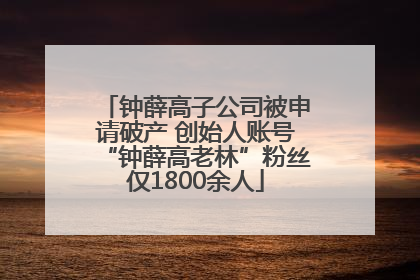 钟薛高子公司被申请破产 创始人账号“钟薛高老林”粉丝仅1800余人
