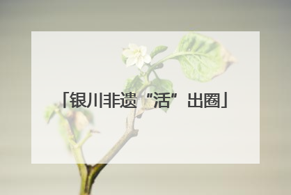 银川非遗“活”出圈