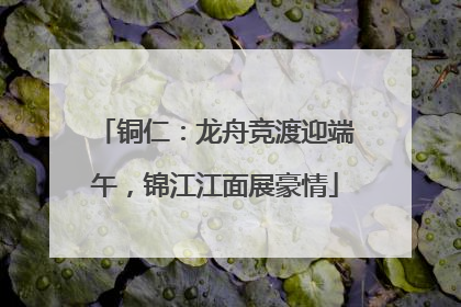 铜仁：龙舟竞渡迎端午，锦江江面展豪情