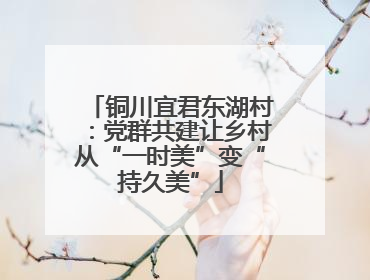 铜川宜君东湖村：党群共建让乡村从“一时美”变“持久美”