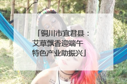 铜川市宜君县：艾草飘香迎端午 特色产业助振兴