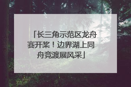 长三角示范区龙舟赛开桨！边界湖上同舟竞渡展风采