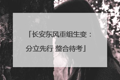 长安东风重组生变：分立先行 整合待考