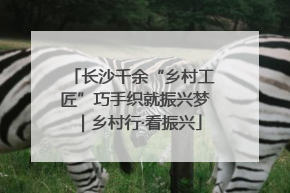长沙千余“乡村工匠”巧手织就振兴梦｜乡村行·看振兴