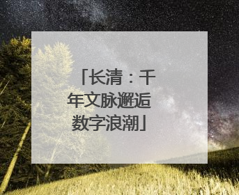 长清：千年文脉邂逅数字浪潮