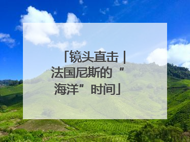 镜头直击｜法国尼斯的“海洋”时间