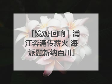 镜观·回响｜浦江奔涌传薪火 海派融新纳百川