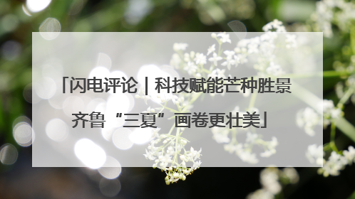 闪电评论｜科技赋能芒种胜景 齐鲁“三夏”画卷更壮美